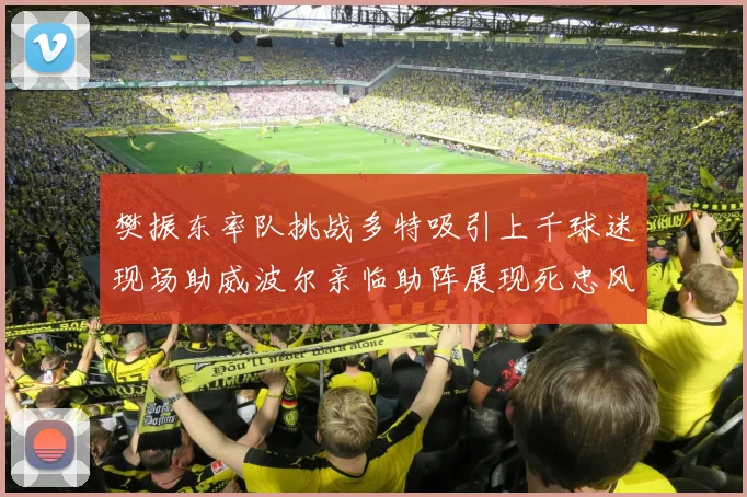 樊振东率队挑战多特吸引上千球迷现场助威波尔亲临助阵展现死忠风采
