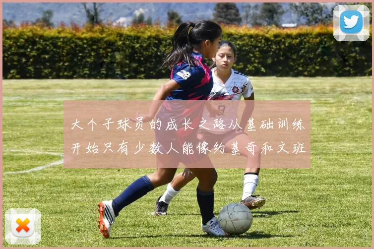 大个子球员的成长之路从基础训练开始只有少数人能像约基奇和文班那样成功