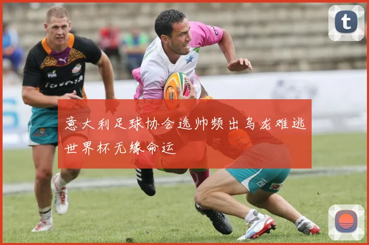 意大利足球协会选帅频出乌龙难逃世界杯无缘命运