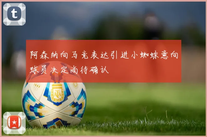 阿森纳向马竞表达引进小蜘蛛意向球员决定尚待确认